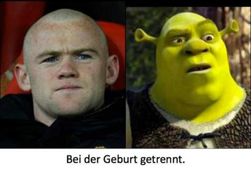 BdGg Wayne Rooney -  Shrek